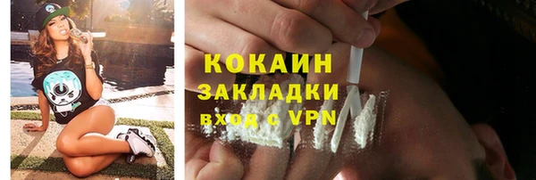ГАЛЛЮЦИНОГЕННЫЕ ГРИБЫ Заводоуковск