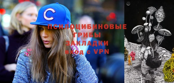 ГАЛЛЮЦИНОГЕННЫЕ ГРИБЫ Заводоуковск